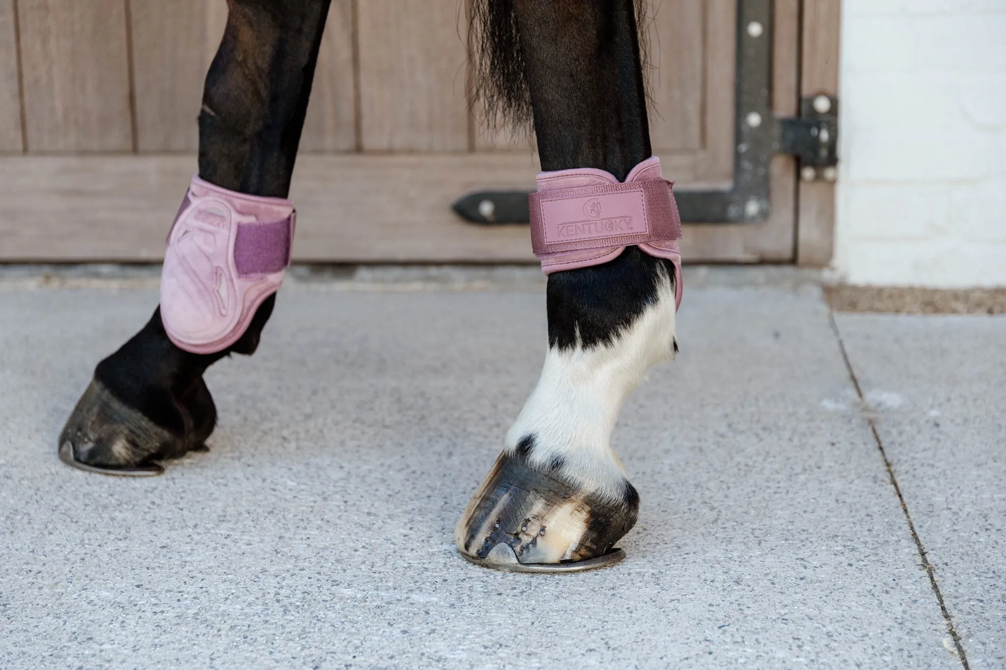 Young Horse Fetlock Boots Velvet